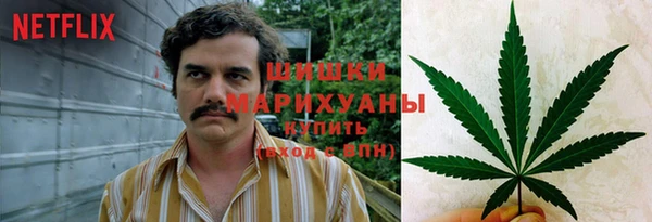 дживик Балахна