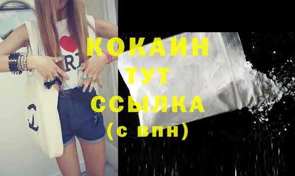 дживик Балахна