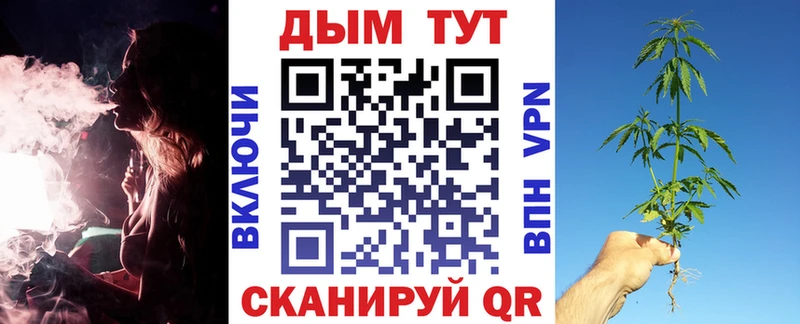 где продают   Белгород  Каннабис OG Kush 